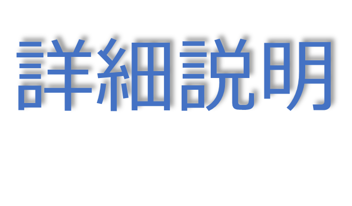 詳細説明