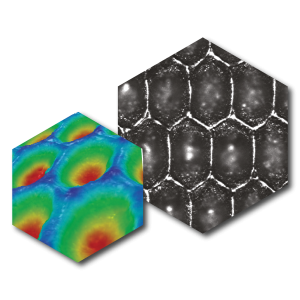 CAE BPCC anilox roll