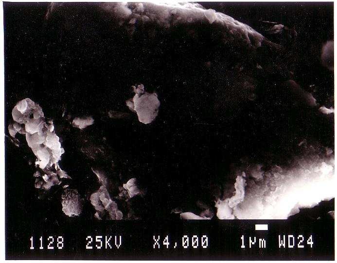 鉄粉の電子顕微鏡写真例2