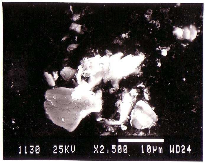 鉄粉の電子顕微鏡写真例3