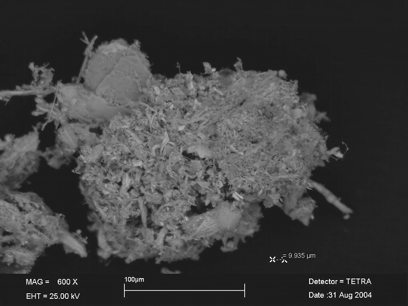 鉄粉の電子顕微鏡写真例1
